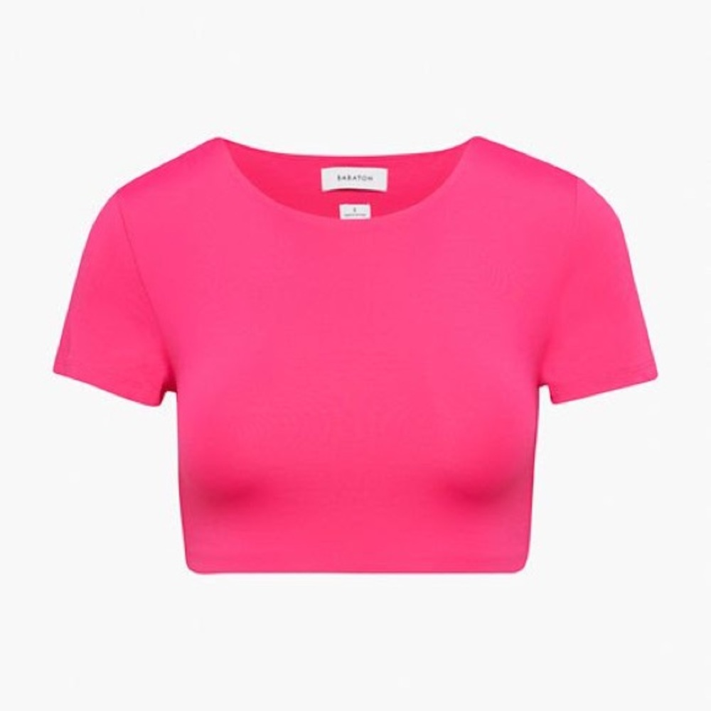 Aritzia Babaton CONTOUR CREW RIBCAGE T-SHIRT